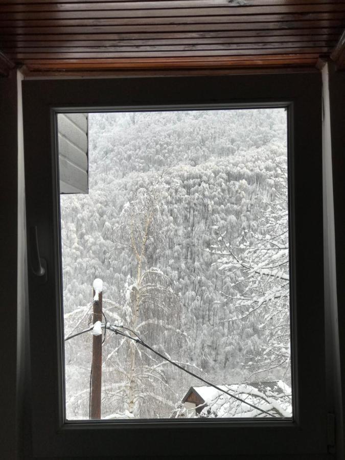Kuca Za Odmor ,,Balkan” Crni Vrh Exteriér fotografie