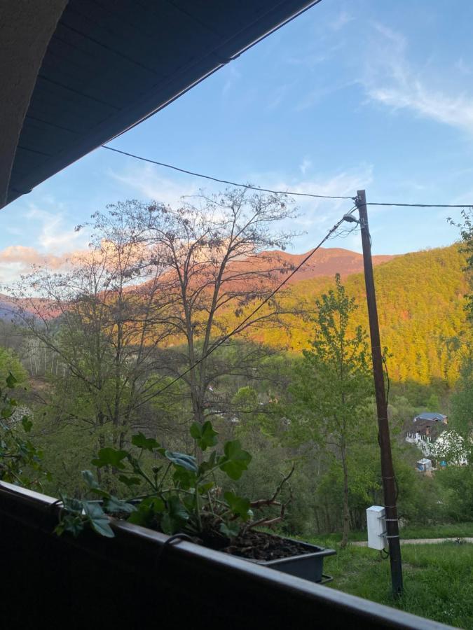 Kuca Za Odmor ,,Balkan” Crni Vrh Exteriér fotografie