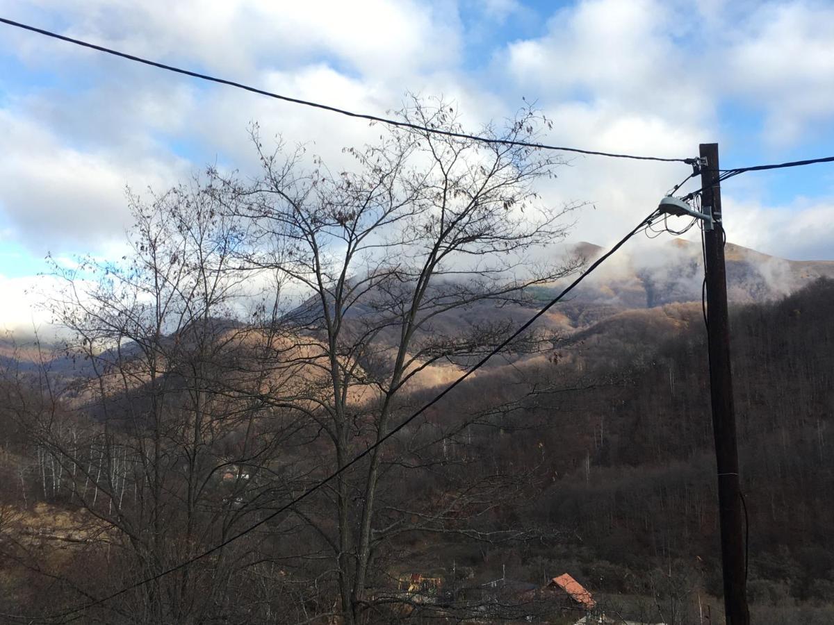 Kuca Za Odmor ,,Balkan” Crni Vrh Exteriér fotografie