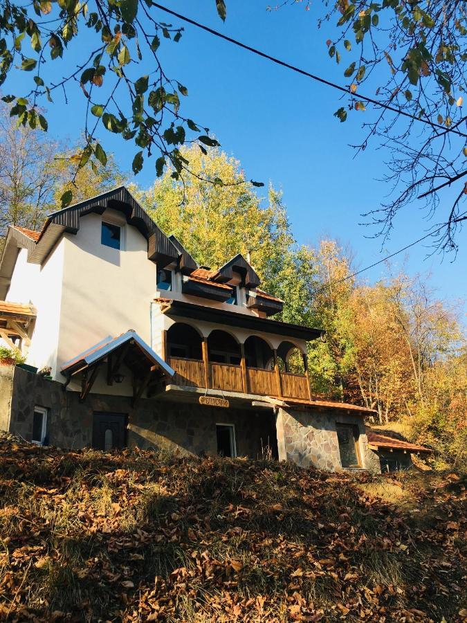 Kuca Za Odmor ,,Balkan” Crni Vrh Exteriér fotografie